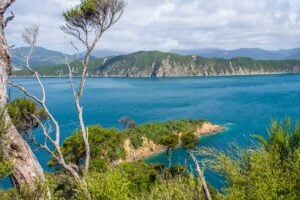 View from the predator free Island in the Marlborough Sounds