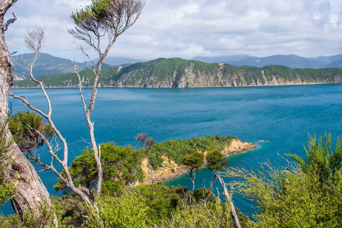 North Island VS South Island of New Zealand - Which is Better?