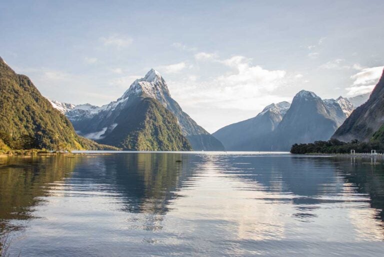 View of Milford Sound from the foreshore