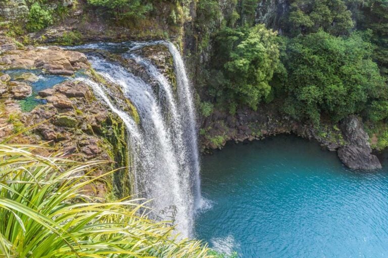 Whangarei Falls New Zealand