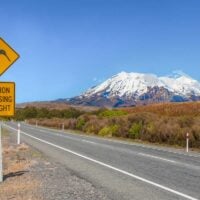 Kiwi crossing sign in Tongariro National Park, New Zealand