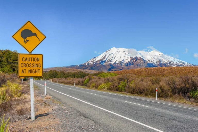 Kiwi crossing sign in Tongariro National Park, New Zealand