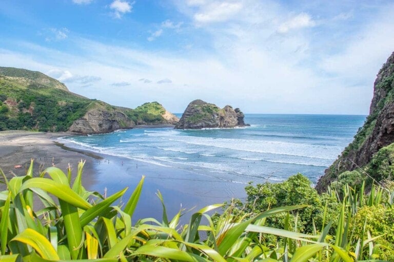 People swim at Piha Beach