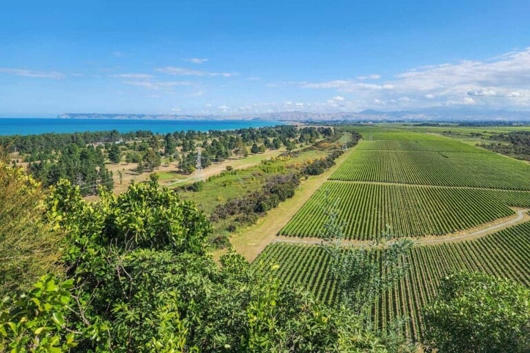 View over the wineries in the Marlborough wine region near Blenheim