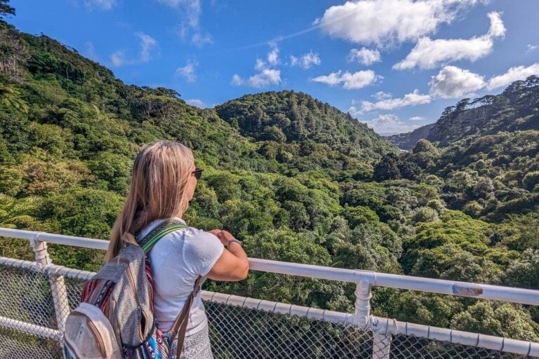 Bailey looks out over Zealandia on the Upper Dam walkway