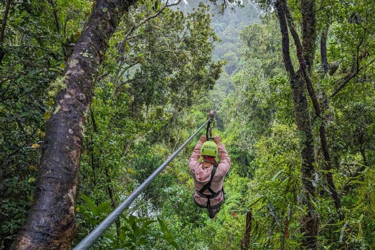 Bailey on a zipline in Rotorua, New Zealand