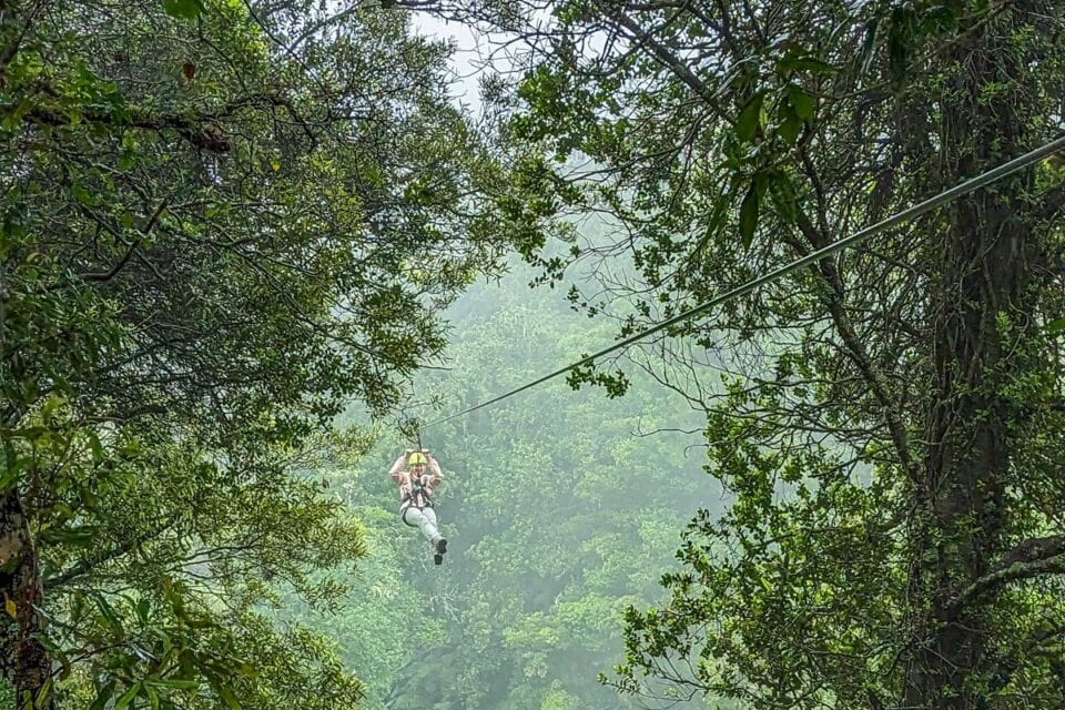 10 Things to Know BEFORE Ziplining in Rotorua +3 BEST Tours