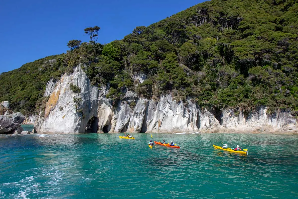 10 BEST Abel Tasman Tours From Nelson Kaiteriteri And M rahau