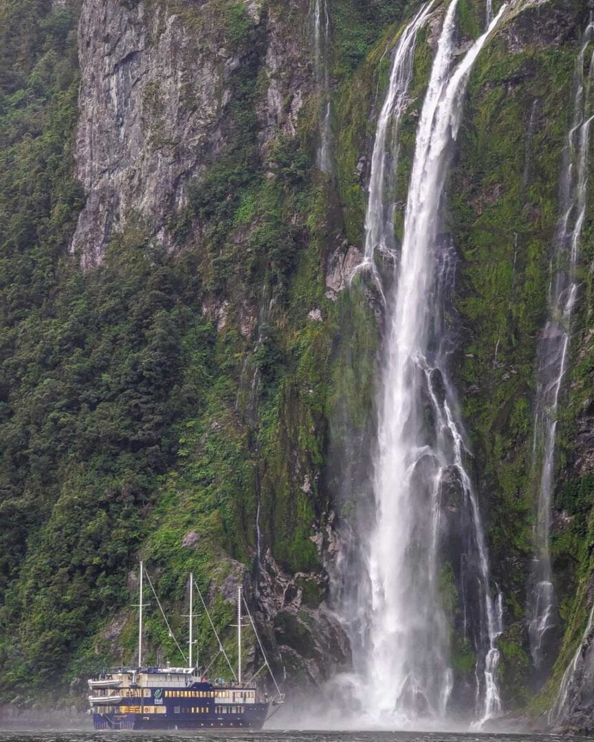 10 BEST Milford Sound Tours in 2025 Review by a Local Expert My Queenstown Diary
