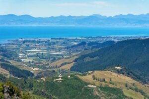 Hawkes Lookout Walk 