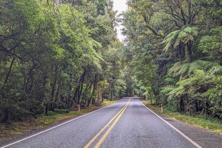 Road that leads to rotorua New Zealand