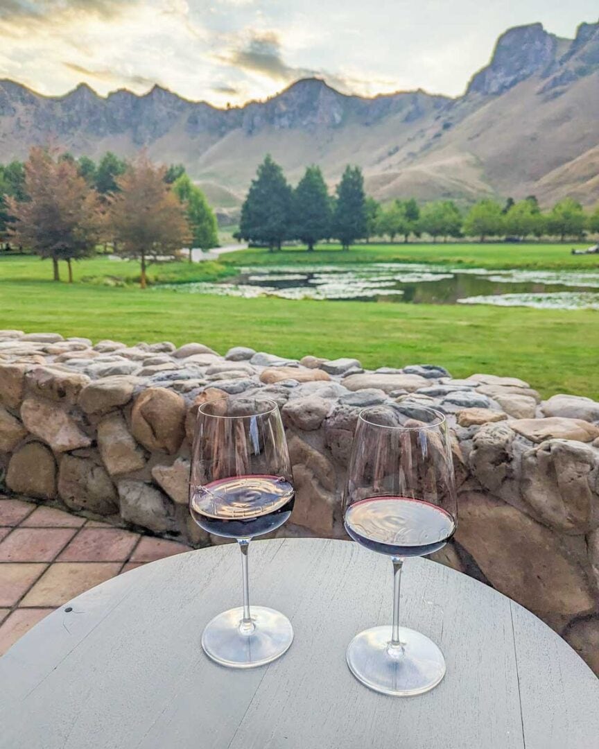 6 BEST Wine Tours in Napier +My Personal Review My Queenstown Diary