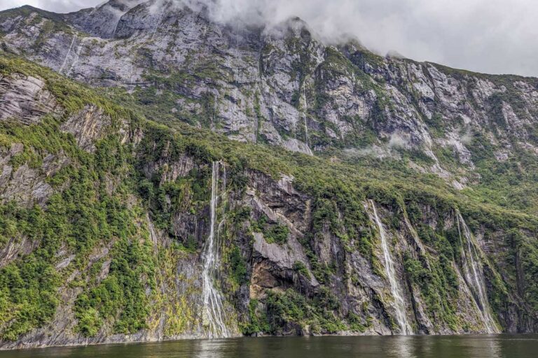 Is Milford Sound Worth it? My Honest Review