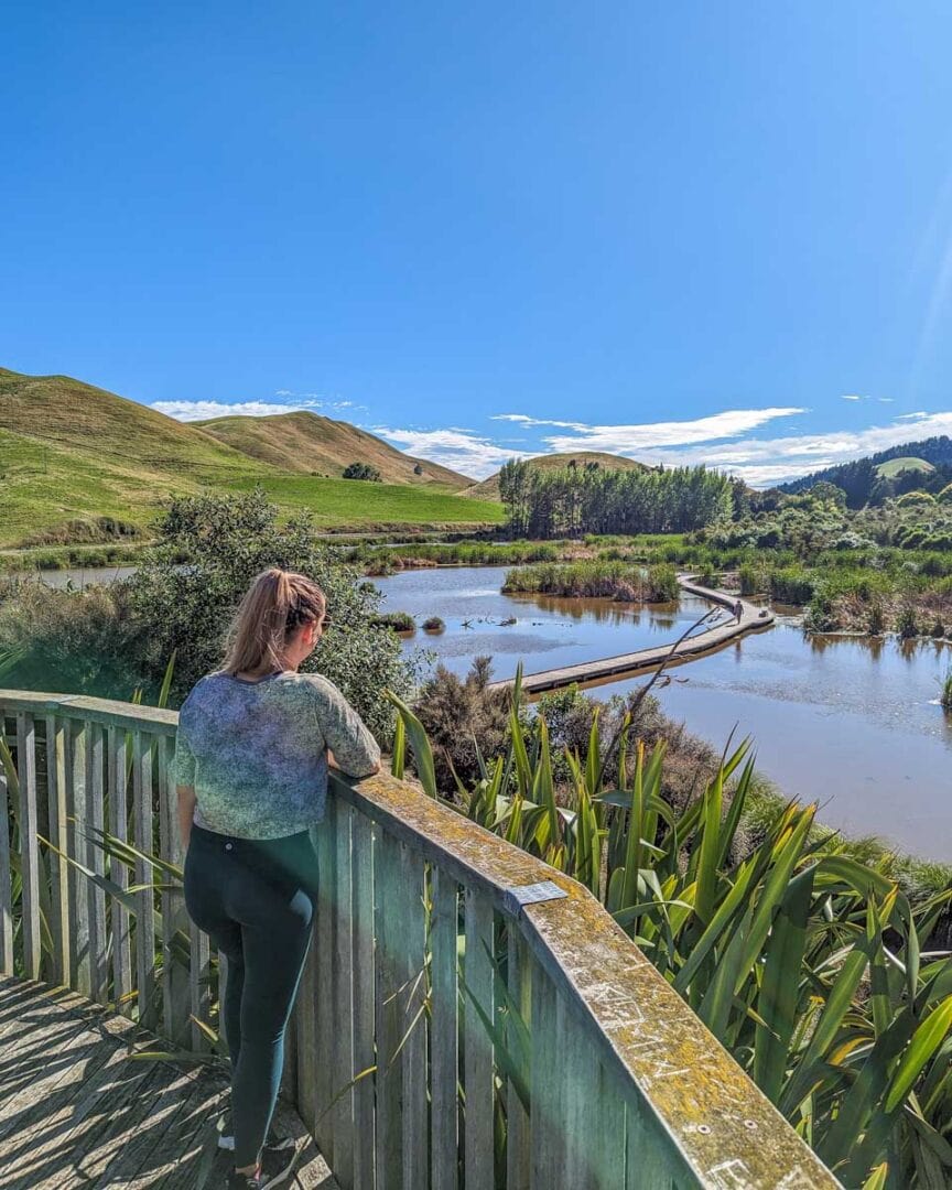12 BEST Stops between Napier and Wellington My Queenstown Diary