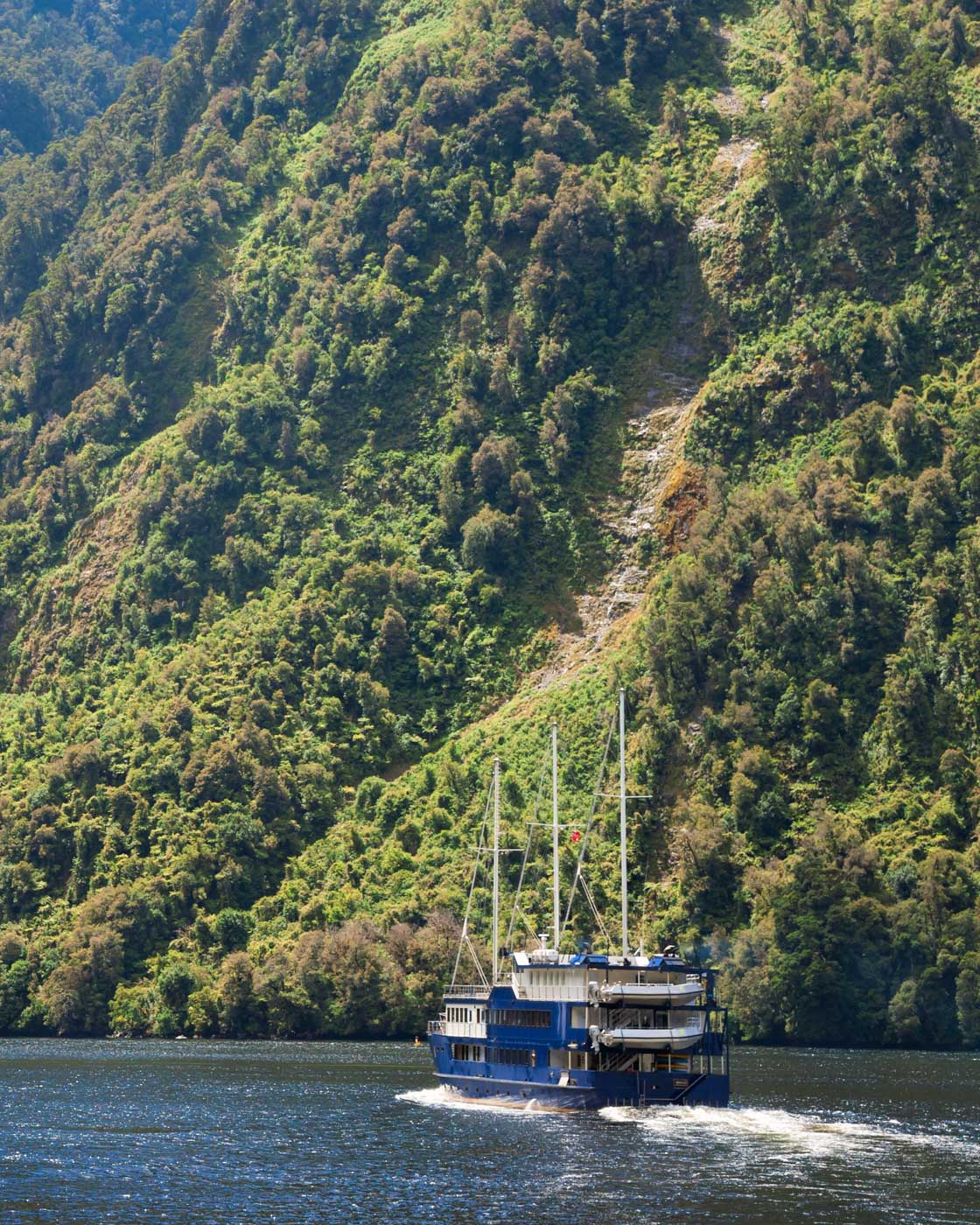 RealNZ boat cruises through Doubtful Sound, NZ