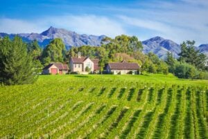 Cute boutique winery in the Marlborough wine region in NZ