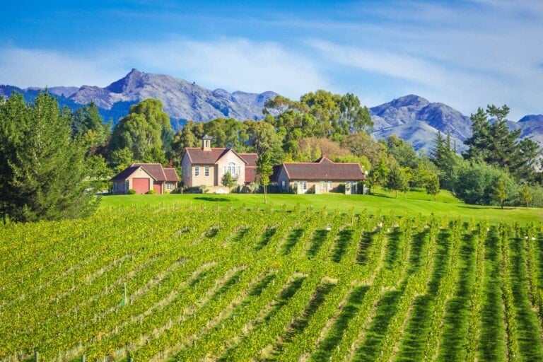 Cute boutique winery in the Marlborough wine region in NZ