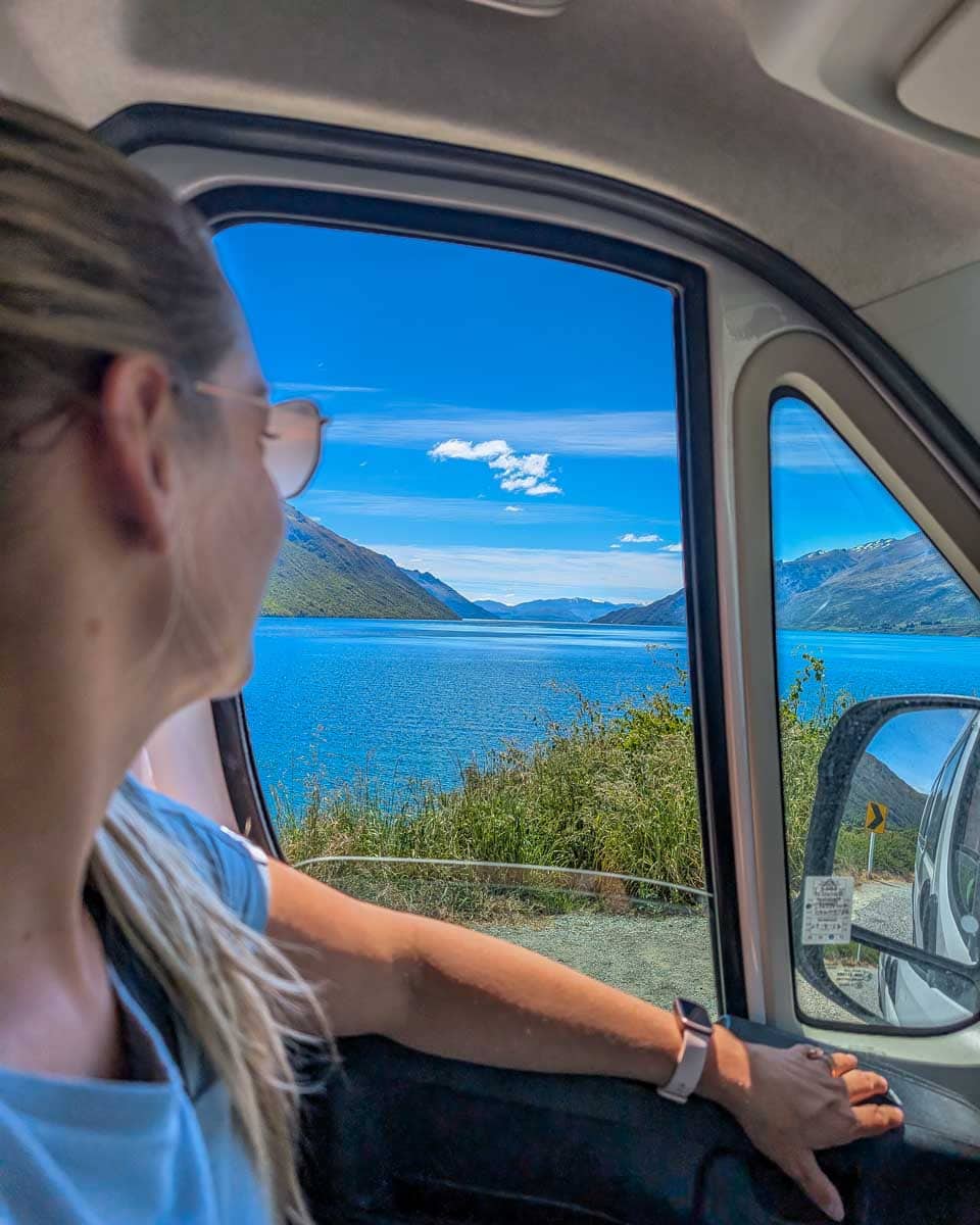 Bailey looks out the window of a Star RV campervan in New Zealand