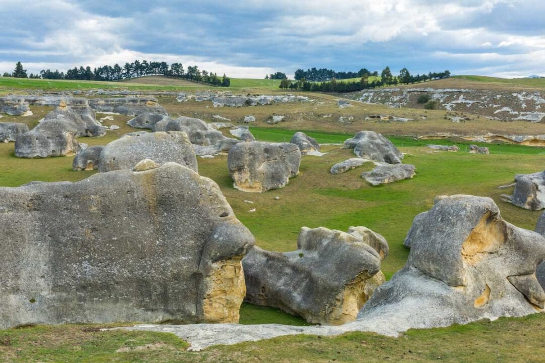 10 Best Day Trips from Dunedin, New Zealand - My Queenstown Diary