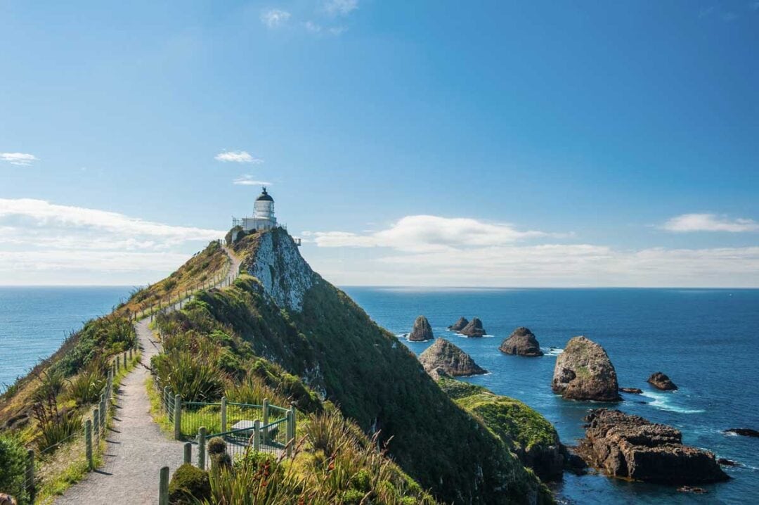 10 Best Day Trips from Dunedin, New Zealand - My Queenstown Diary