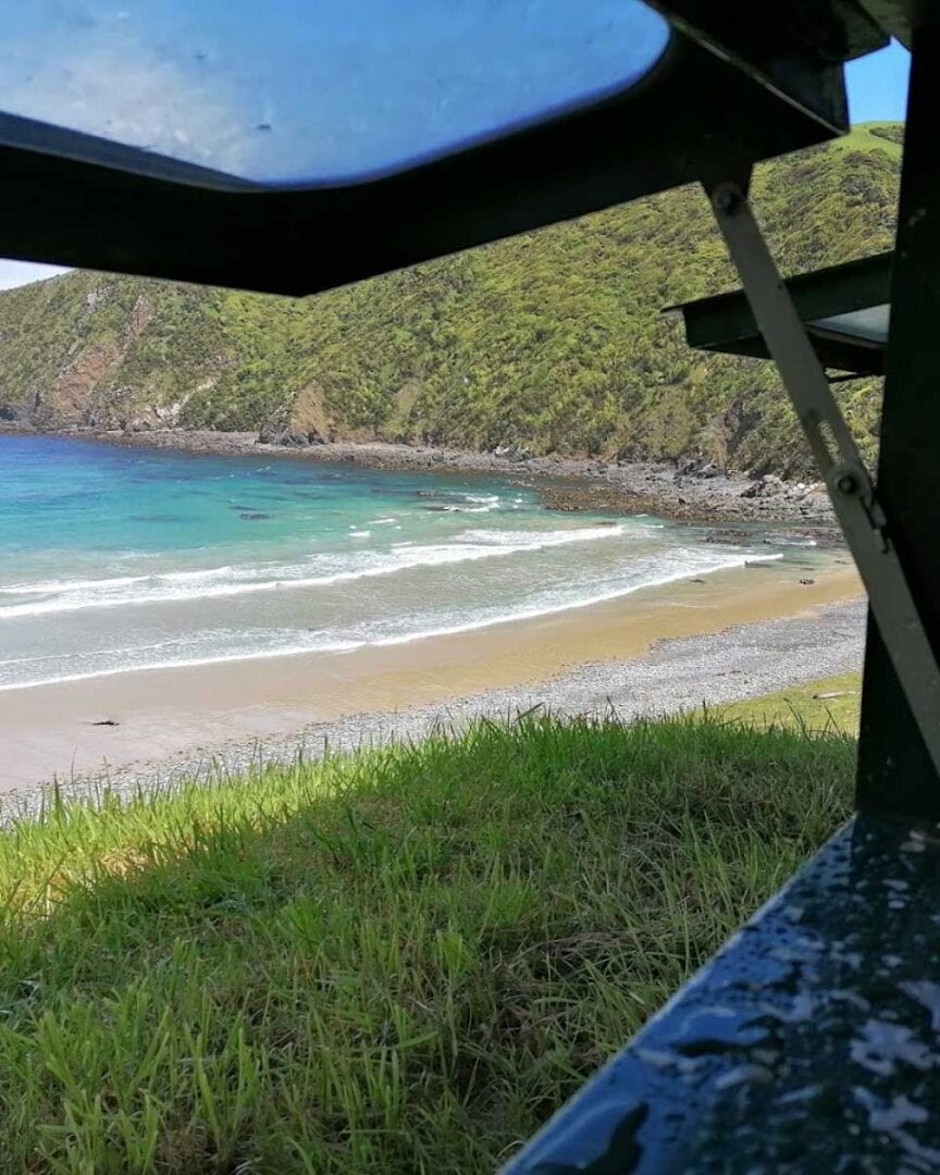 10 Best Day Trips from Dunedin, New Zealand - My Queenstown Diary