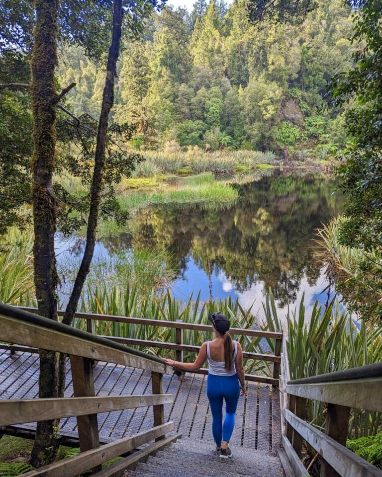 Bailey goes down the steps at Lake Matheson New Zealand