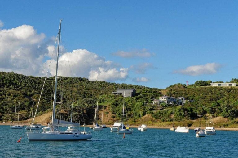 Waiheke Island New Zealand on a tour from Auckland