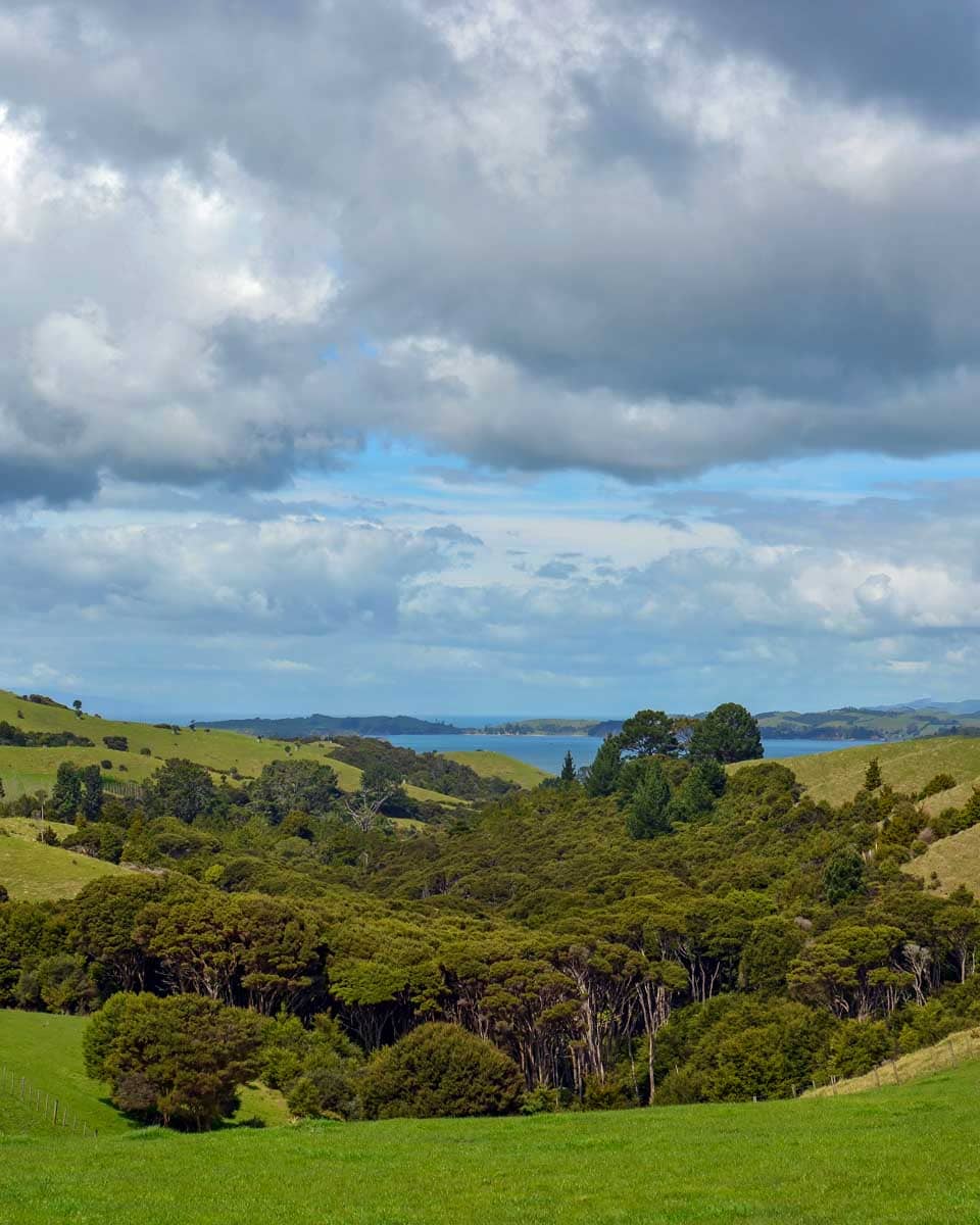 Waiheke Island New Zealand views