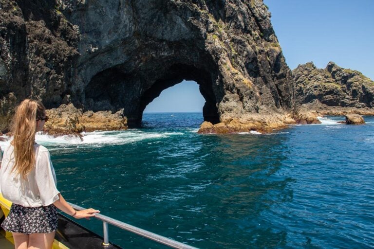 Bailey on a boat during a Hole in the Rock tour New Zealand