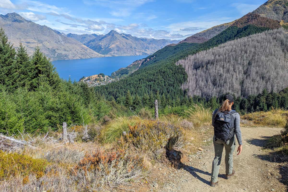 Bailey-hikes-along-the-Skyline Loop Track near Queenstown New Zealand