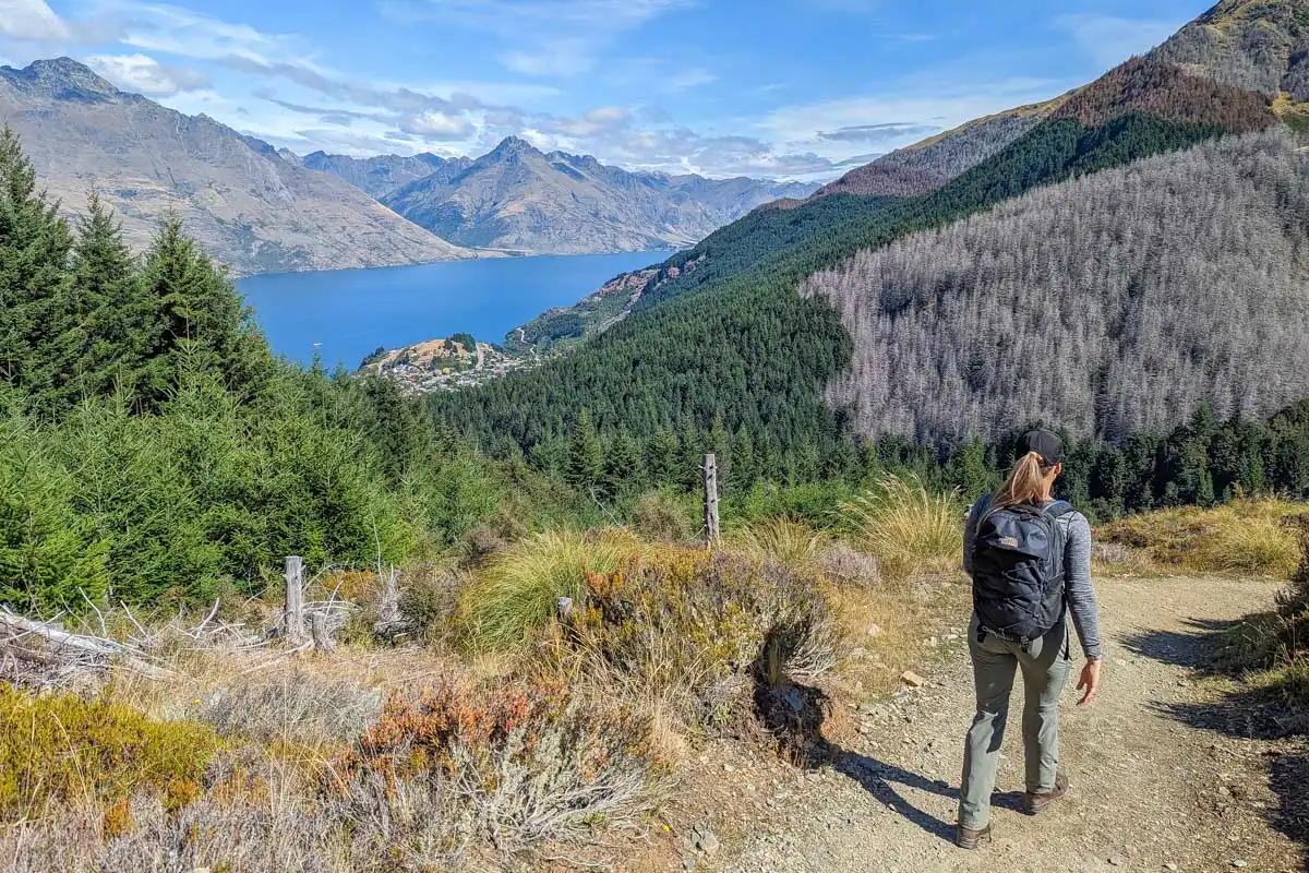 Bailey-hikes-along-the-Skyline Loop Track near Queenstown New Zealand