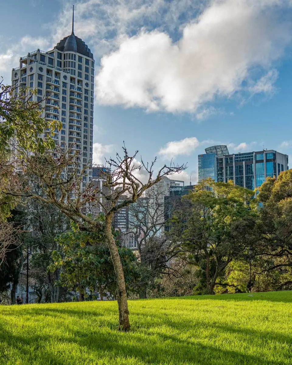 Walking through Albert Park in Auckland New Zealand