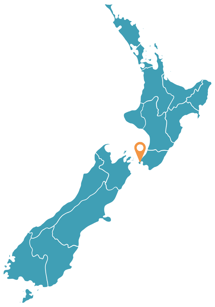 Wellington Map