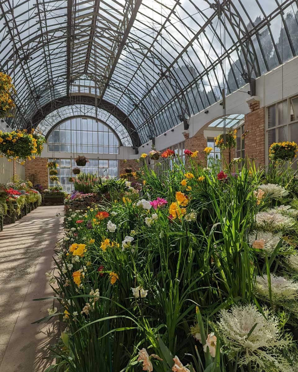 Auckland Wintergarden in Auckland New Zealand