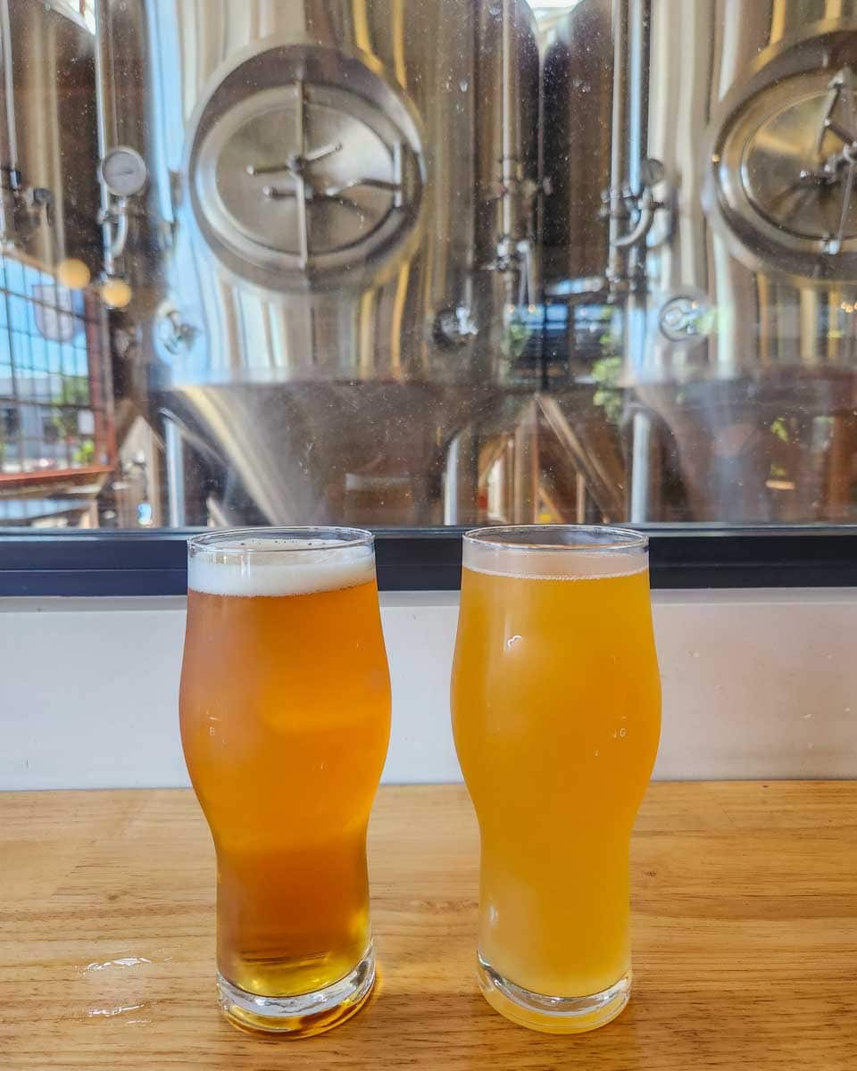 Craft-beers-at-a-brewery-in-Wanaka-New-Zealand
