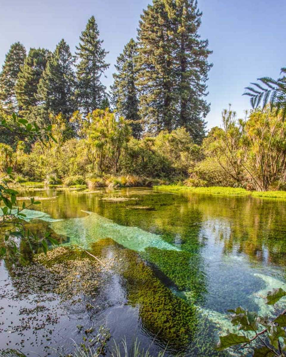 Hamurana-Springs-New-Zealand