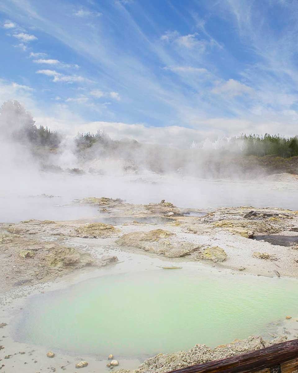 Hells-Gate-geothermal-pools