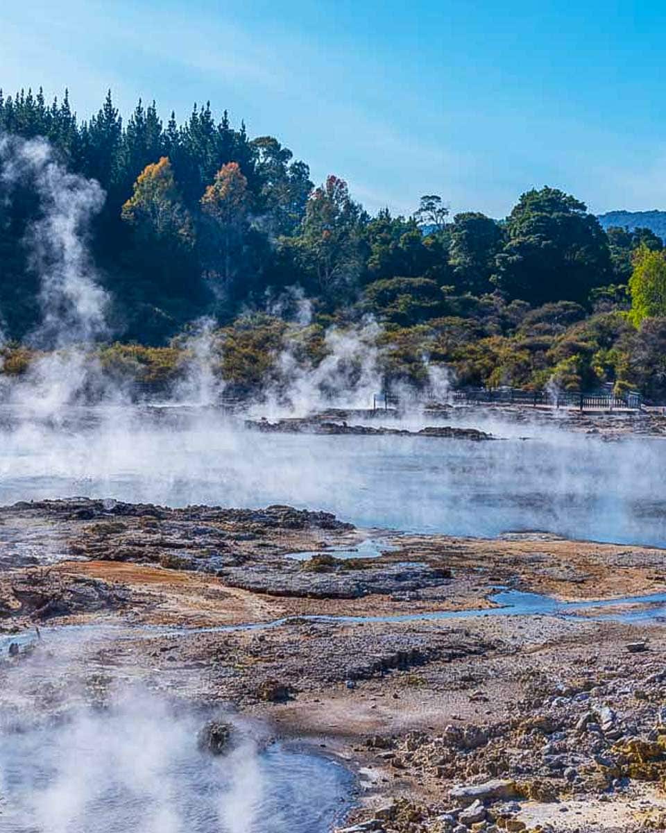 Hells-Gate-in-Rotorua