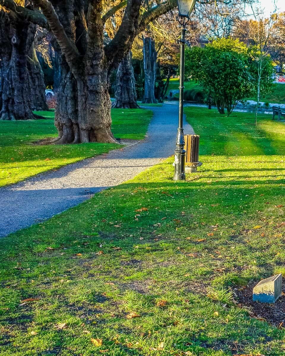 Part of Hagley Park in Christchurch New Zealand