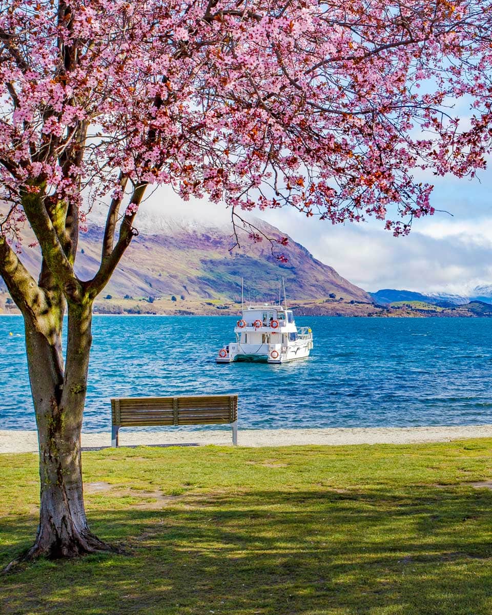 Pembroke Park in Wanaka New Zealand