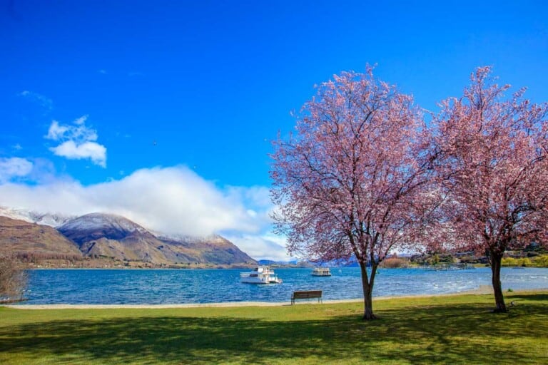 The Wanaka lakeside in New Zealand