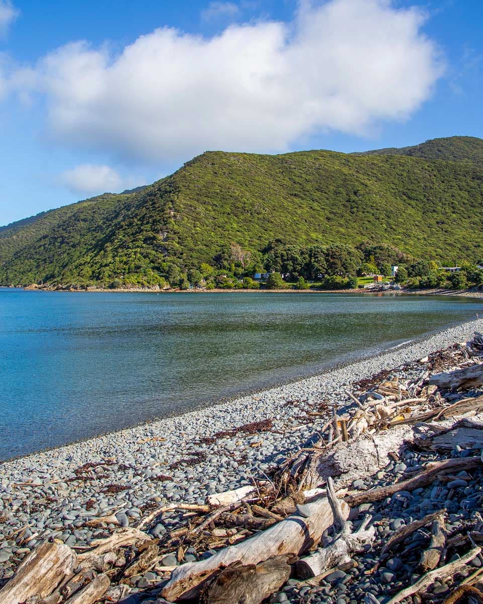 Kapiti Island on a tour from Wellington New Zealand
