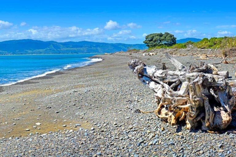 Kapiti Island seen near Wellington New Zealand