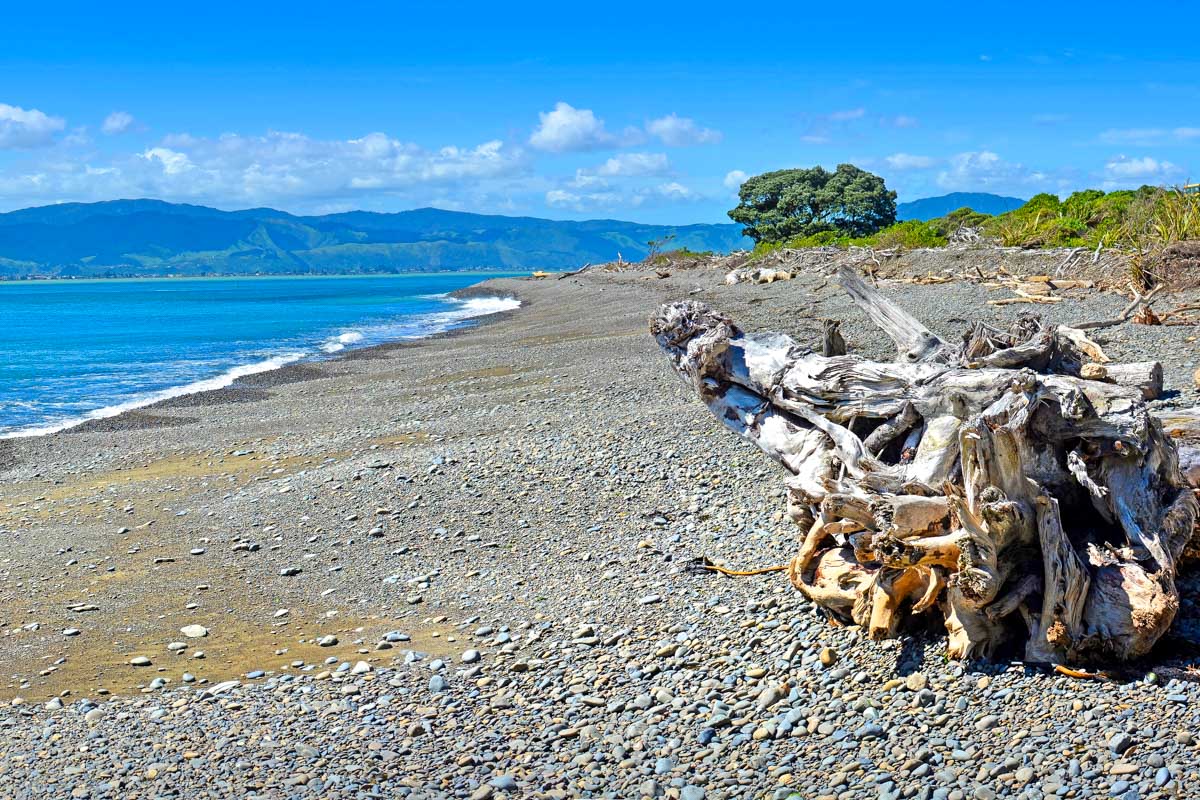 Kapiti Island seen near Wellington New Zealand