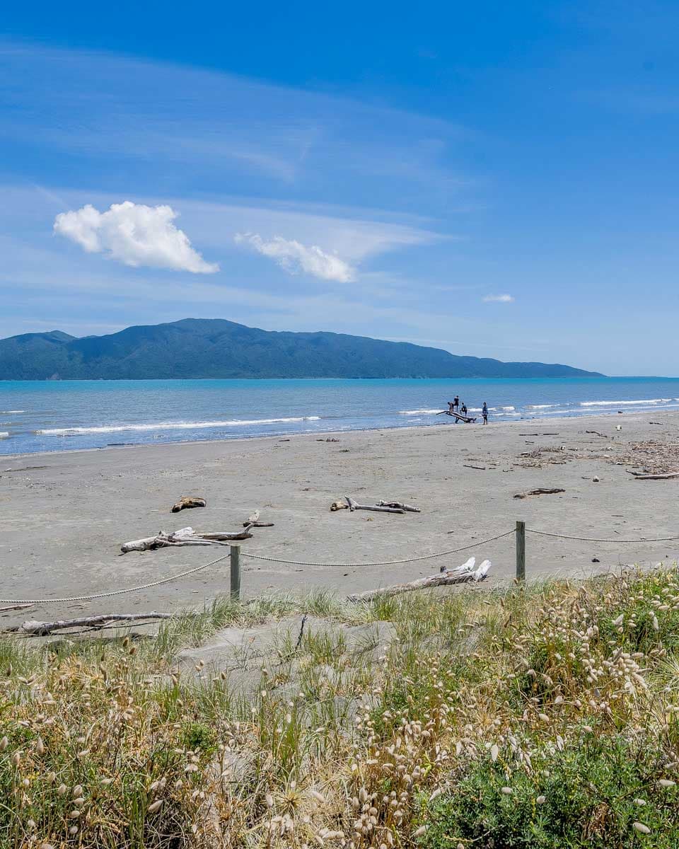 Paraparaumu Beach seen on a tour from Wellington New Zealand
