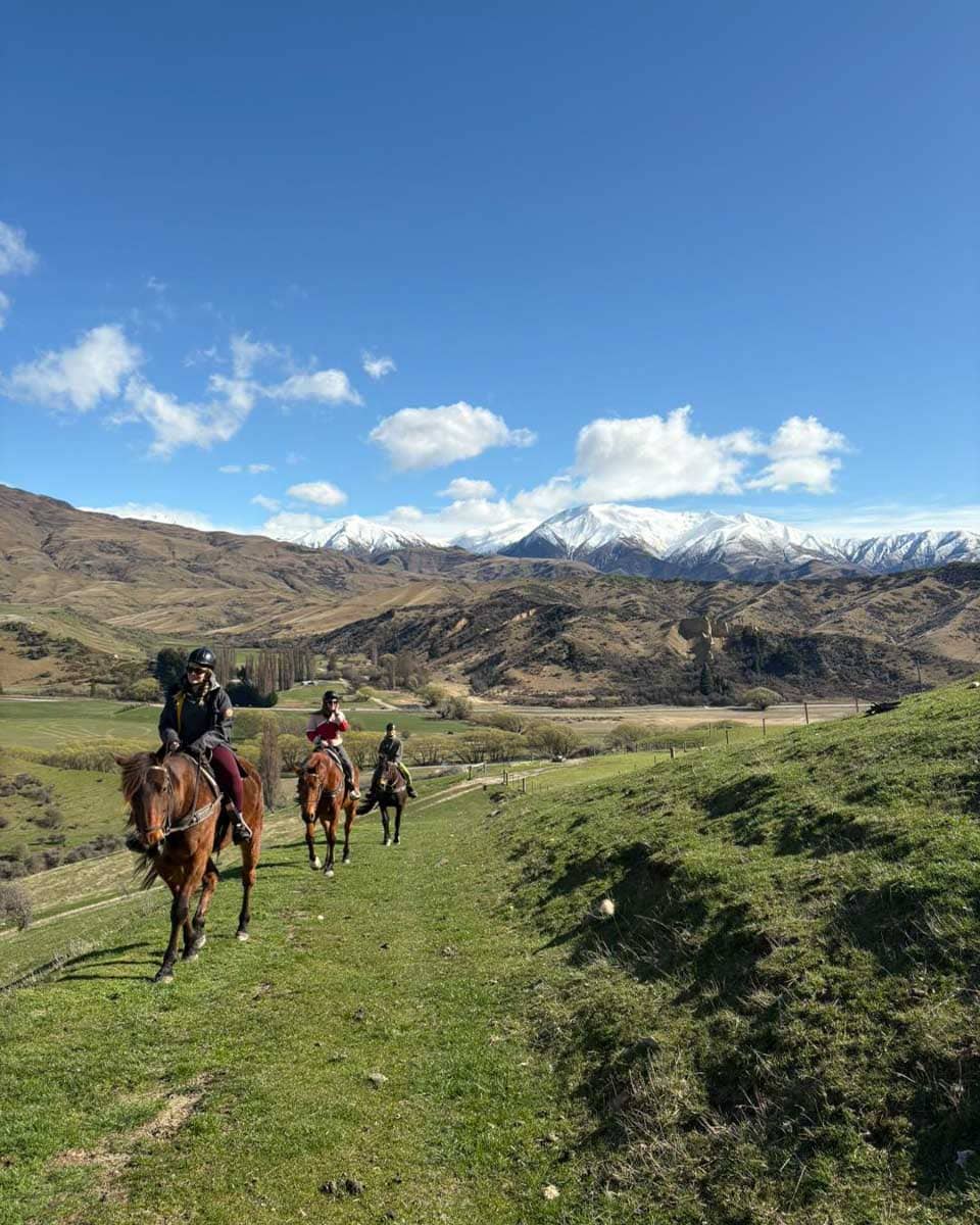 The Cardrona in Wanaka New Zealand 1