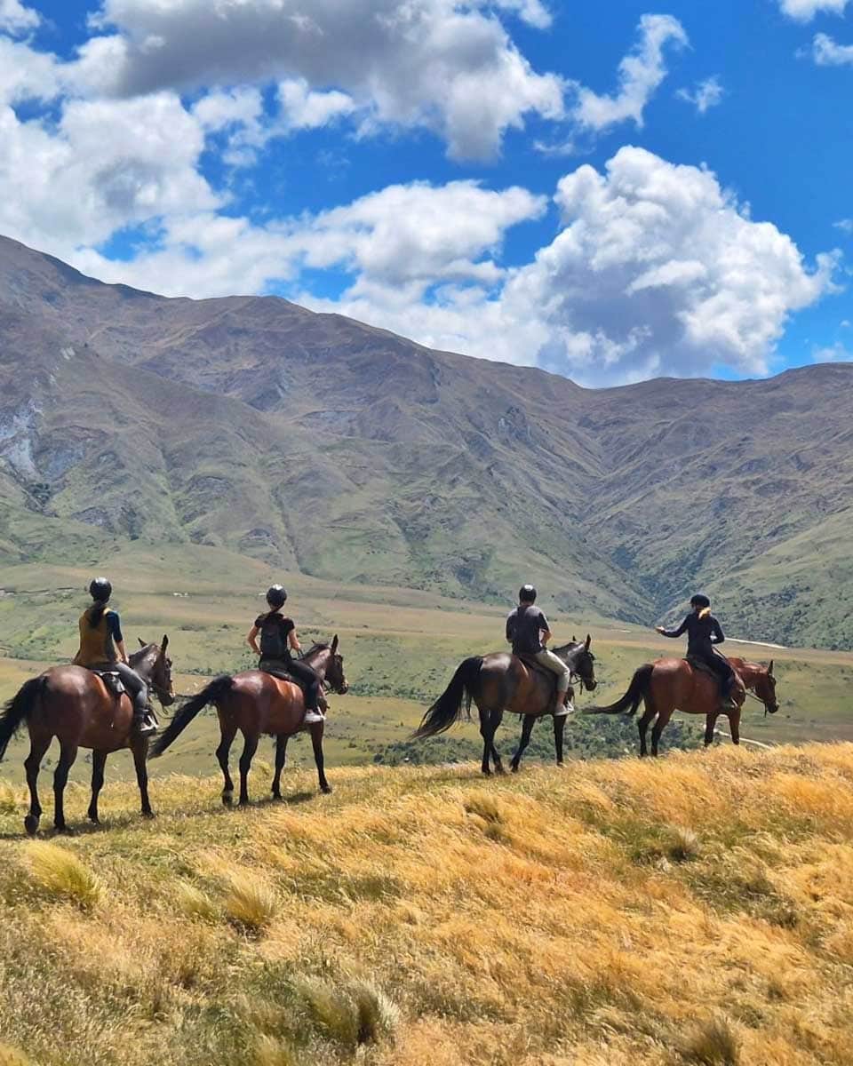 The Cardrona in Wanaka New Zealand