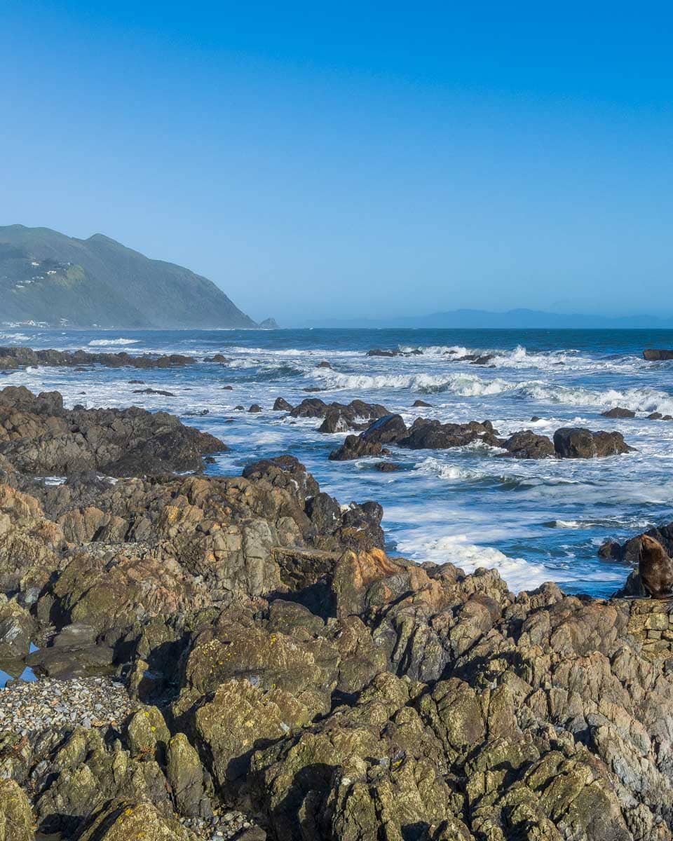 The ocean and landscape seen on a tour from Wellington New Zealand