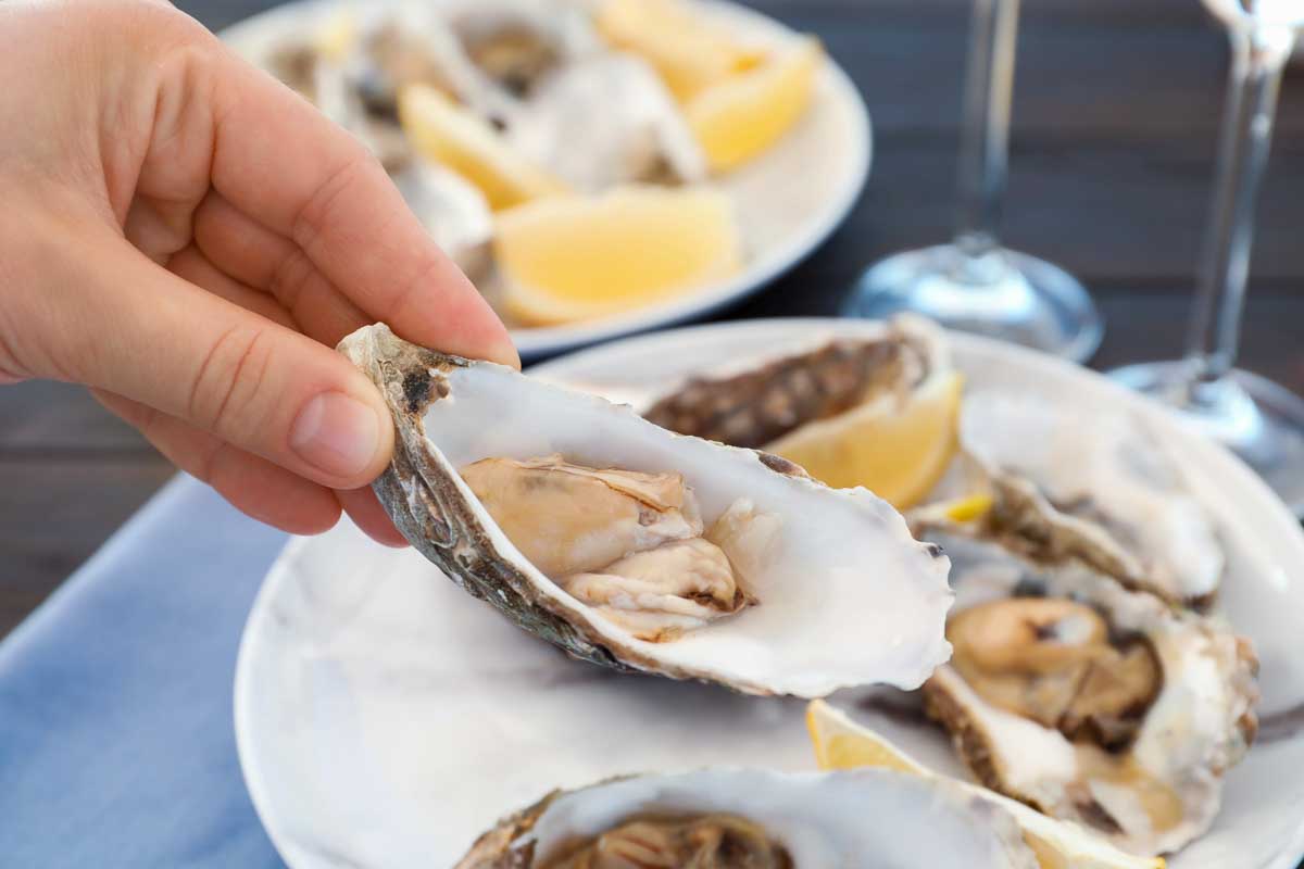 Bailey-eats-fresh-oysters on Waiheke Island, New Zealand