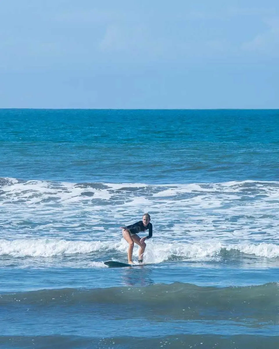 Bailey surfing in Dunedin, New Zealand